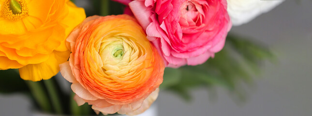 Bouquet of beautiful ranunculus flowers, closeup. Banner design