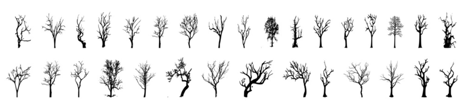 collection of trees vector on white background	