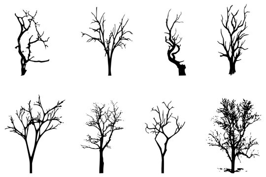 Winter trees silhouettes collection. Set of isolated vector design elements.. Hand drawn illustration in sketch style. Nature template. Clipart.