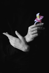 Hands with flower on black.