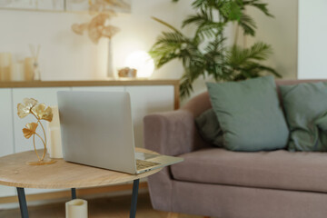 Comfortable workplace with a laptop in the office, at home. Bright room with large windows, bookcase, green plant. Remote work, freelance.