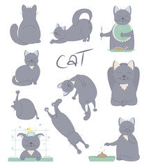 Beautiful cartoon card with a set of cats. different emotions. different poses of the cat. cat in different situations (eating, bathing, playing, sitting). 