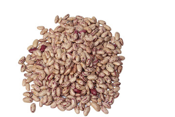 Phaseolus vulgaris is the scientific name for the sugar bean legume. Also known as Brindle Beans or...