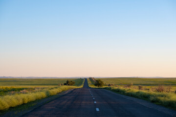 Road in the steppe stretching into the distance. Road line through the steppe in summer. Road trip concept.