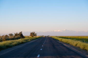 Road in the steppe stretching into the distance. Road line through the steppe in summer. Road trip concept.