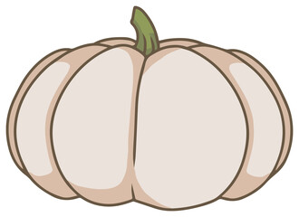 Drawing of Long Island Cheese Pumpkin on transparent background