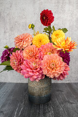 Many colorful dahlia flowers placed in a blue and brown ceramic container. Gray background, dark wood table.