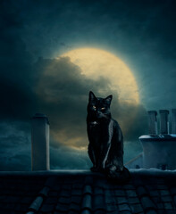 Black cat on roof and full moon. Scary halloween design layout for halloween night party poster invitation. Fantasy cat silhouette under moonlight.