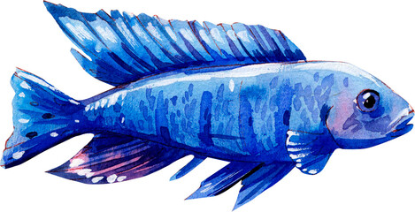 Watercolor aquarium fish. Png illustration on transparent background