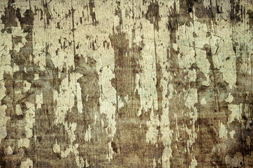 Grunge texture of peeling wood with white paint.