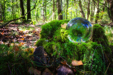 Lensball - Natur - Transparenz  - Zerbrechlich - Ecology - Glass Sphere - High quality photo with...