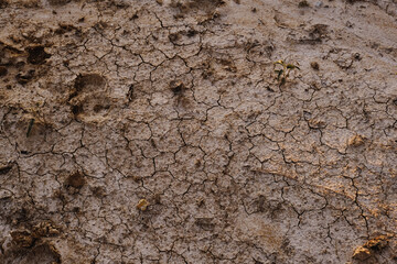 Texas drought shows dry ground with cracks in dirt.