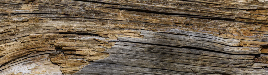 panorama beautiful wooden background from old cracked logs. Template for an inscription. Layout for design.