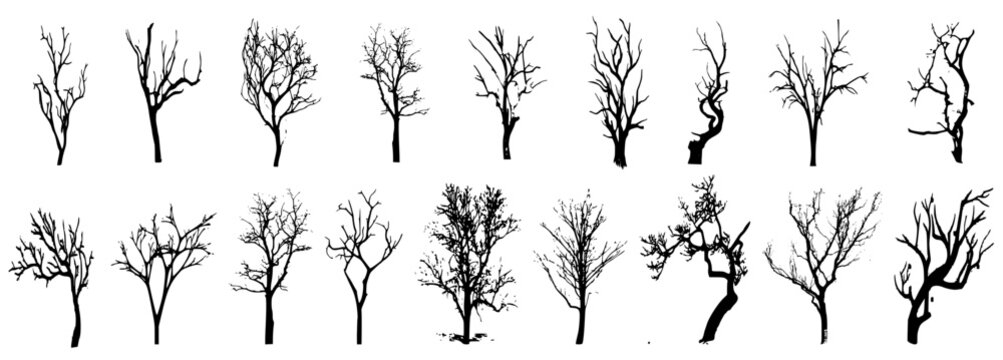 Winter trees silhouettes collection. Set of isolated vector design elements.. Hand drawn illustration in sketch style. Nature template. Clipart.