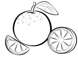 Orange fruit vector Summer food engraved, whole and half orange,