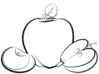 Apple fruit and slice vector, Engraved organic food hand drawn sketch engraving illustration