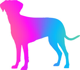 Ilustration art dog multicolor gradient