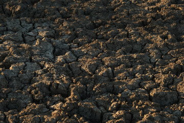 Cracks in dry dirt showing Texas drought on ground in landscape.