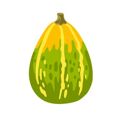 Hand drawn decorative green long gourd. Squash, pumpkin vegetable for thanksgiving and halloween. Vector isolated flat cartoon illustration.