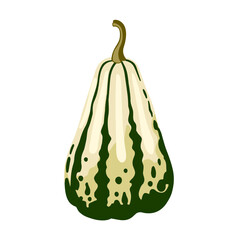 Hand drawn white spotted gourd, decorative pumpkin. Autumn harvest, decoration for thanksgiving and halloween. Striped squash vegetable. Vector isolated flat cartoon illustration.