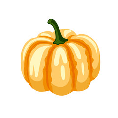 Decorative pumpkin, gourd, squash vegetable. Hand drawn vector isolated illustration.