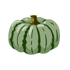 Hand drawn green pumpkin, decorative gourd. Autumn harvest, decoration for thanksgiving and halloween. Striped squash vegetable. Vector isolated flat cartoon illustration.