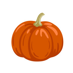 Decorative red pumpkin isolated on white background. Squash, gourd vegetable. Hand drawn cartoon vector illustration.