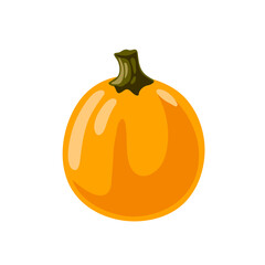 Round orange pumpkin isolated on white background. Squash, gourd vegetable. Hand drawn cartoon vector illustration.