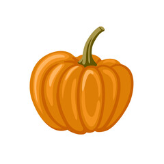 Decorative fairytale orange pumpkin isolated on white background. Squash, gourd vegetable. Hand drawn cartoon vector illustration.