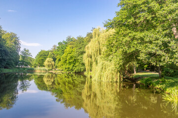 Fototapeta na wymiar Pond in Orunia park at summer time in Gdansk, Poland.