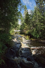 Rapids on a mountain river in the Karelian forest