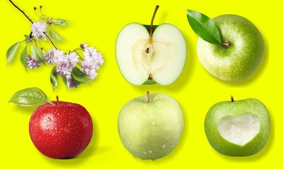 Collections Tasty sweet ripe apple fruits