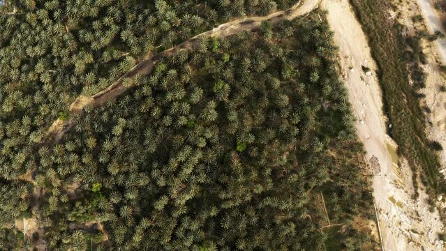 Aerial, Area Around Wadi Bani Khalid, Oman