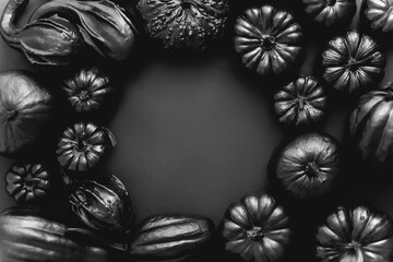 Various kinds cute mini pumpkins in black colour placed in circle with copy space
