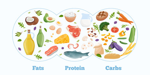 Set of healthy macronutrients. Proteins, fats and carbs presented by food products. Vector illustration of nutrition categories. Balanced nutrition. Healthy food - obrazy, fototapety, plakaty