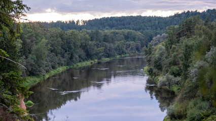 Fototapeta na wymiar Landscape of the river Gauja in Latvia.