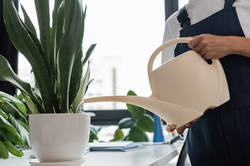 partial view of professional cleaner watering potted plant in office.