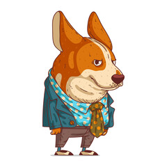 Fototapeta A Stylish Corgi, isolated vector illustration. Cute cartoon picture of a dog wearing a costume. Drawn animal sticker. An anthropomorphic dog on white background. A dressed animal. A hipster dog. obraz