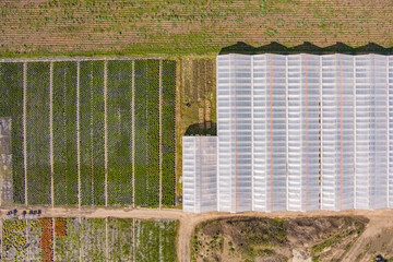 Aerial view of greenhouses