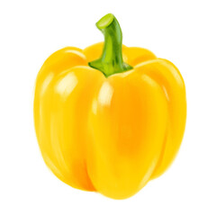 Watercolor Bulgarian pepper. Organic food