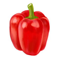 Watercolor Bulgarian pepper. Organic food