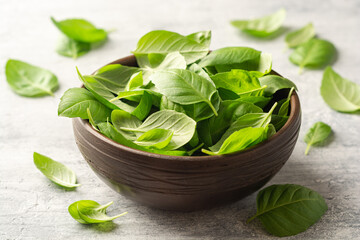Fresh basil leaves in ceramic bowl on concrete background