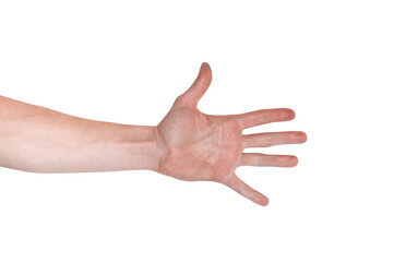 Realistic human hand showing gesture. White skin man arm isolated on transparent background. Straight open fingers, back view arm.