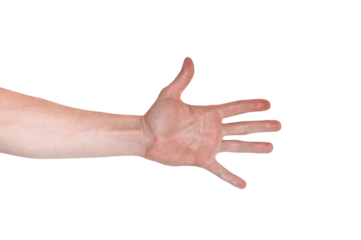 Realistic human hand showing gesture. White skin man arm isolated on transparent background. Straight open fingers, back view arm.
