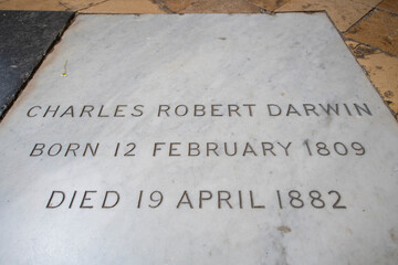 Charles Robert Darwin tomb in Westminster Abbey. The church is World Heritage Site located next to Palace of Westminster in city of Westminster in London, UK.  - obrazy, fototapety, plakaty