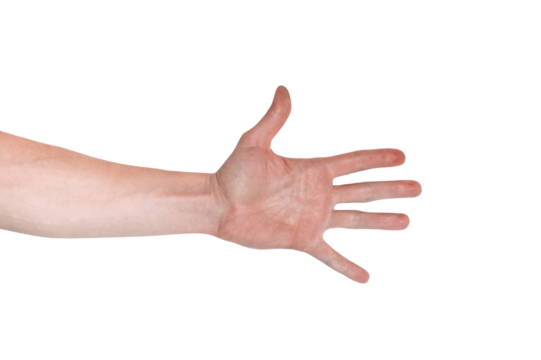 Realistic human hand showing gesture. White skin man arm isolated on transparent background. Straight open fingers, back view arm.