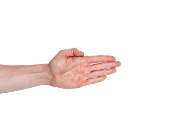 Realistic human hand showing gesture. White skin man arm isolated on transparent background. Straight fingers, back view arm. Showing direction