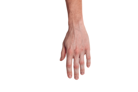 Realistic human hand showing gesture. White skin man arm isolated on transparent background. Straight relaxed fingers, top view arm