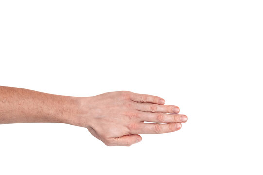 Realistic human hand showing gesture. White skin man arm isolated on transparent background. Straight fingers, top view arm