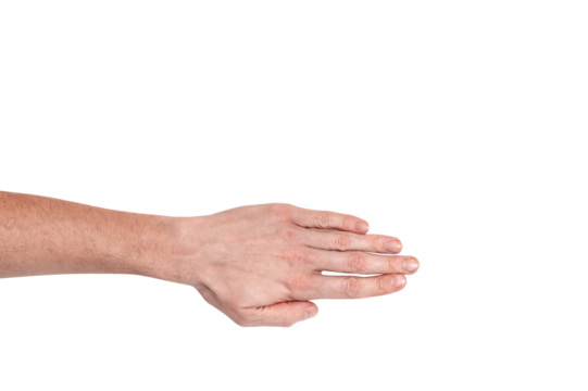 Realistic human hand showing gesture. White skin man arm isolated on transparent background. Straight fingers, top view arm